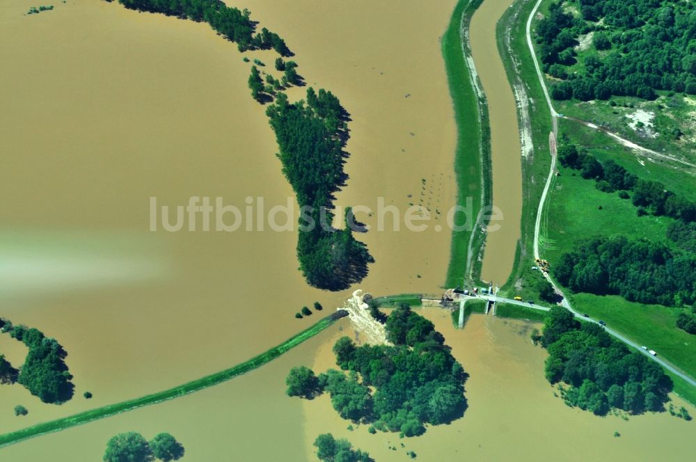 Luftbild Löbnitz - Hochwasser Pegel - Situation durch Überschwemmung und Übertritt der Ufer der Mulde bei Löbnitz im Bundesland Sachsen-Anhalt