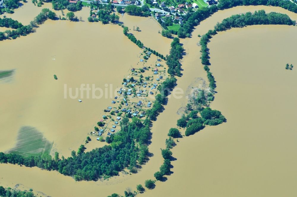 Rösa aus der Vogelperspektive: Hochwasser Pegel - Situation durch Überschwemmung und Übertritt der Ufer der Mulde bei Rösa im Bundesland Sachsen-Anhalt