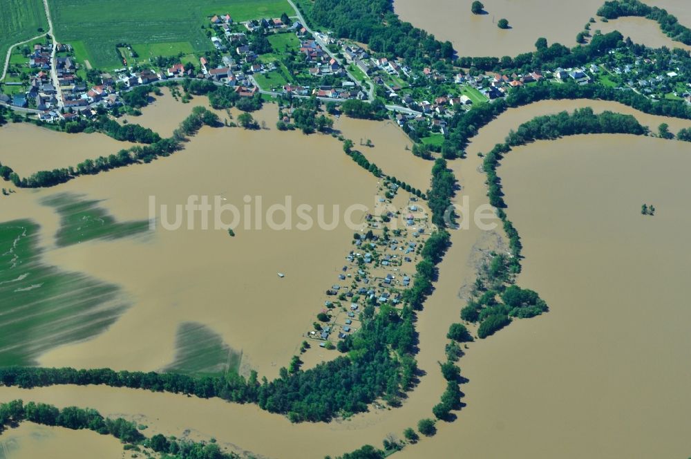 Luftbild Rösa - Hochwasser Pegel - Situation durch Überschwemmung und Übertritt der Ufer der Mulde bei Rösa im Bundesland Sachsen-Anhalt