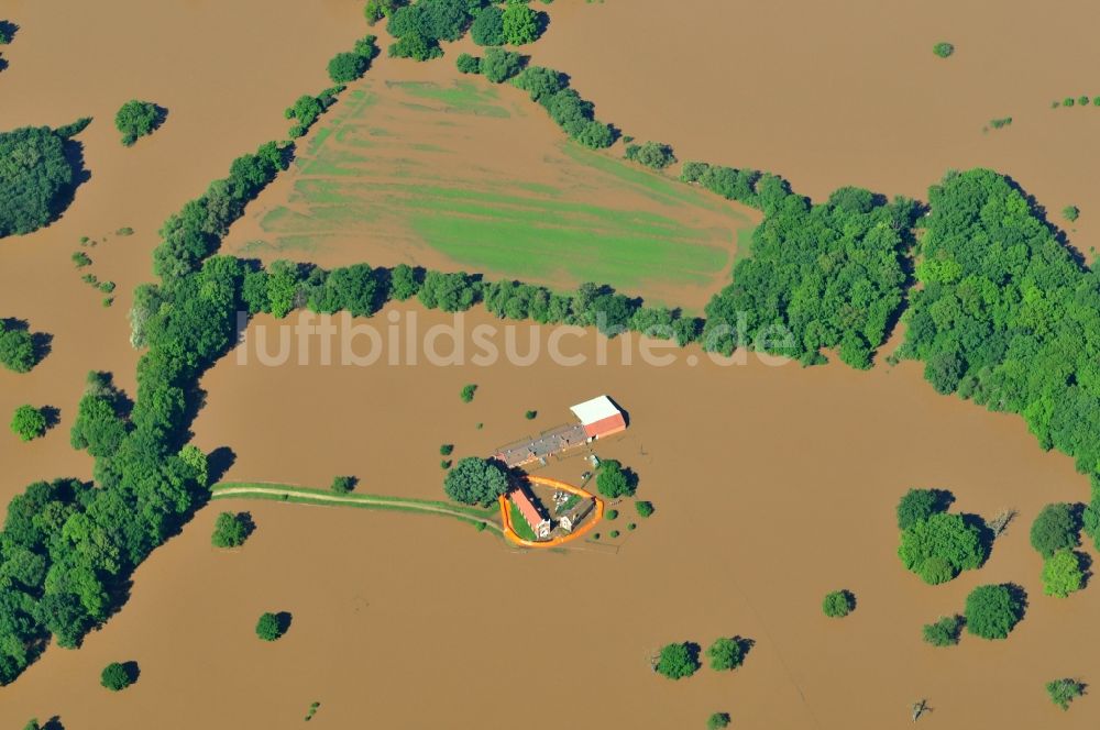 Waldersee von oben - Hochwasser Pegel - Situation durch Überschwemmung und Übertritt der Ufer der Mulde bei Waldersee im Bundesland Sachsen-Anhalt