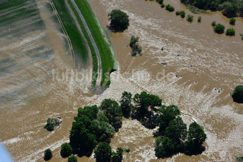 Luftbild Glaucha OT Oberglaucha - Hochwasser Pegel - Situation durch Überschwemmung und Übertritt der Ufer der Mulde durch Dammbruch bei Glaucha OT Oberglaucha im Bundesland Sachsen