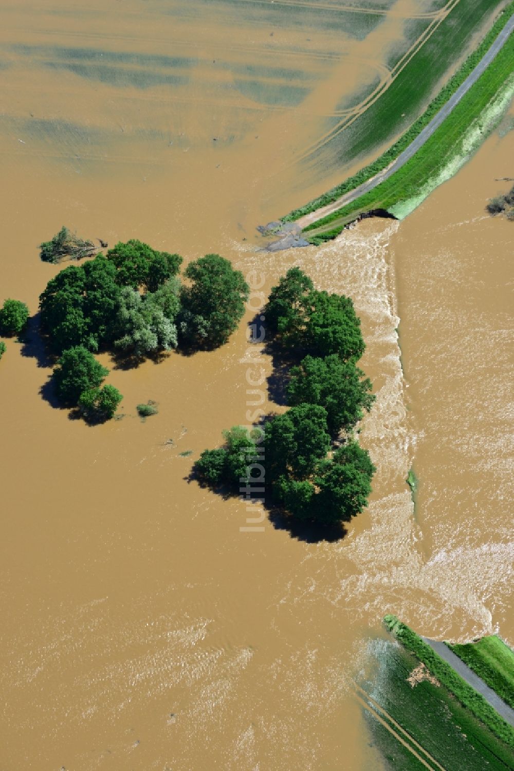 Luftaufnahme Glaucha OT Oberglaucha - Hochwasser Pegel - Situation durch Überschwemmung und Übertritt der Ufer der Mulde durch Dammbruch bei Glaucha OT Oberglaucha im Bundesland Sachsen