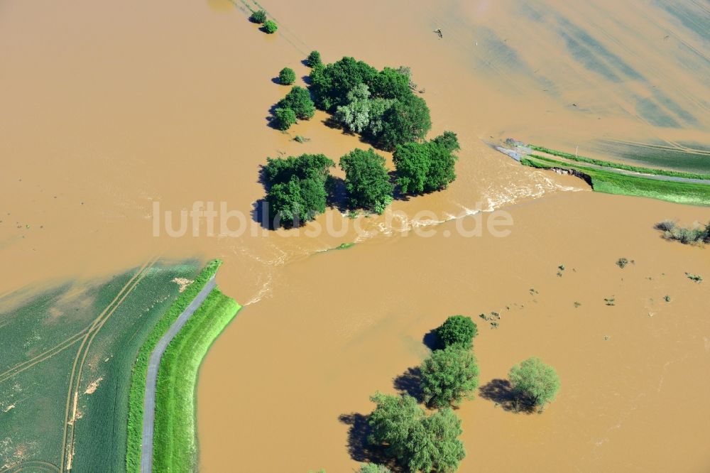 Glaucha OT Oberglaucha von oben - Hochwasser Pegel - Situation durch Überschwemmung und Übertritt der Ufer der Mulde durch Dammbruch bei Glaucha OT Oberglaucha im Bundesland Sachsen