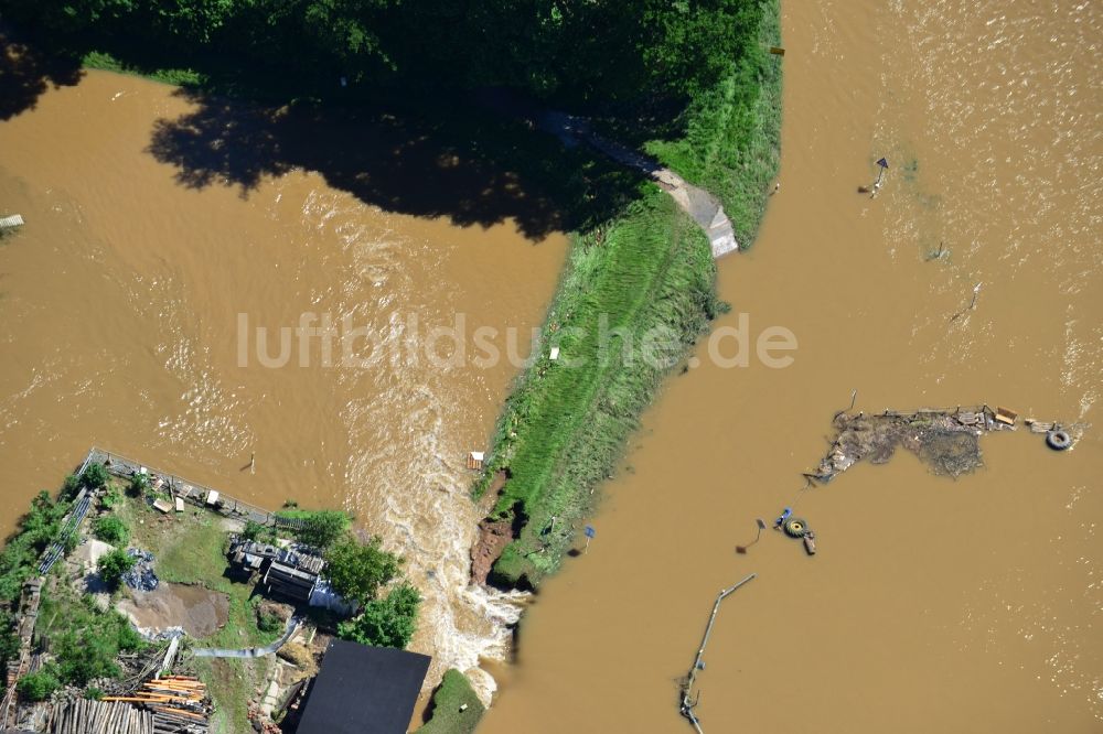 Luftaufnahme Laußig - Hochwasser Pegel - Situation durch Überschwemmung, Dammbruch und Übertritt der Ufer der Mulde bei Laußig im Bundesland Sachsen