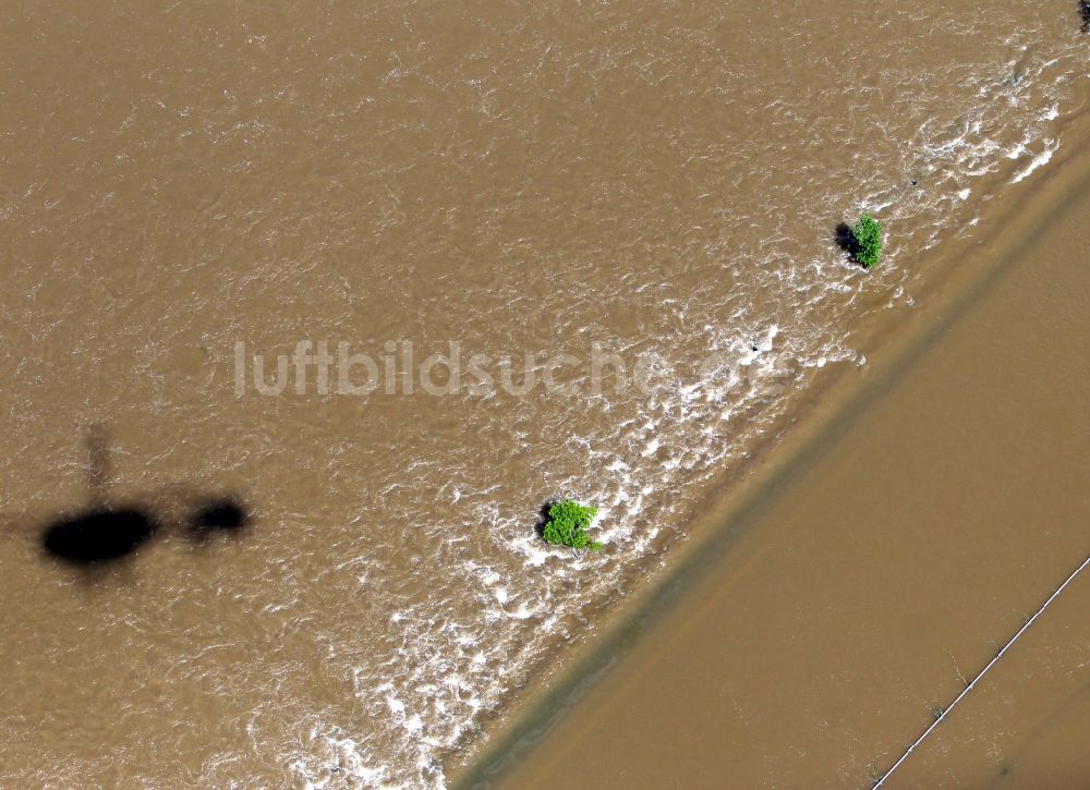 Luftaufnahme Breitenhagen - Hochwasser Pegel - Situation durch Dammbruch an den Überflutungsgebieten der Elbe bei Breitenhagen im Bundesland Sachsen-Anhalt