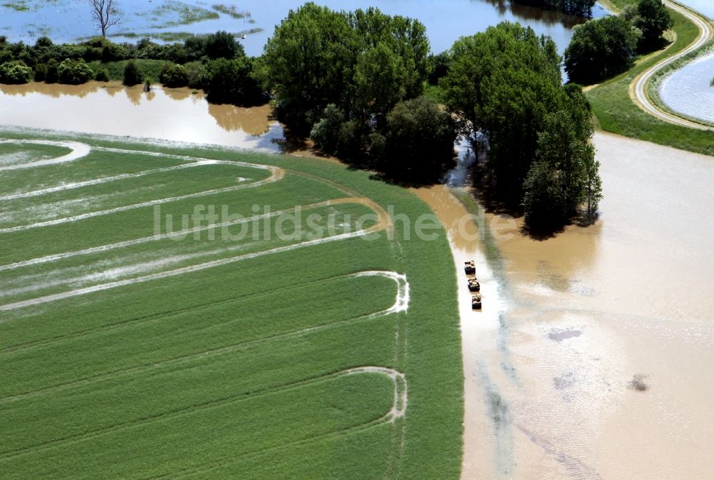 Breitenhagen aus der Vogelperspektive: Hochwasser Pegel - Situation durch Dammbruch an den Überflutungsgebieten der Elbe bei Breitenhagen im Bundesland Sachsen-Anhalt