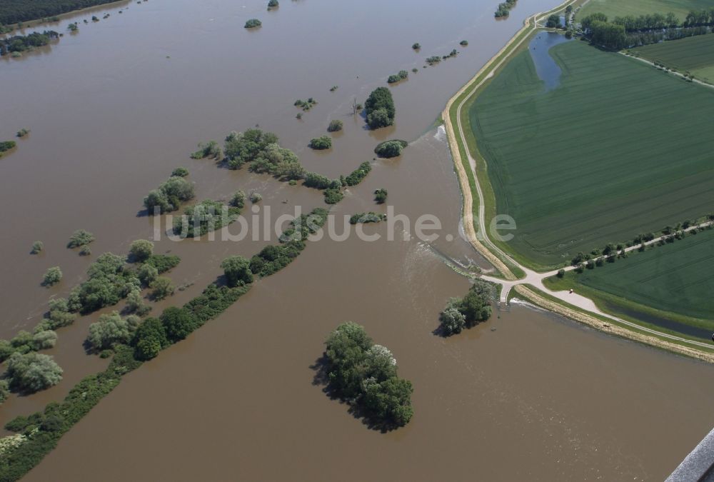 Fischbeck ( Elbe ) von oben - Hochwasser Pegel - Situation durch Dammbruch an den Überflutungsgebieten der Elbe bei Fischbeck ( Elbe ) im Bundesland Sachsen-Anhalt