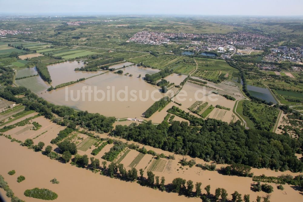 Luftbild Ingelheim - Hochwasser - Situation nach Öffnung der Hochwasserpolder in Ingelheim im Bundesland Rheinland-Pfalz