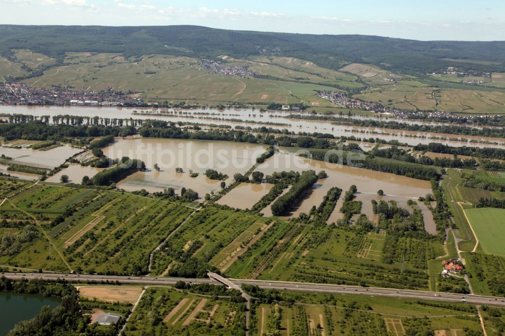 Luftaufnahme Ingelheim - Hochwasser - Situation nach Öffnung der Hochwasserpolder in Ingelheim im Bundesland Rheinland-Pfalz