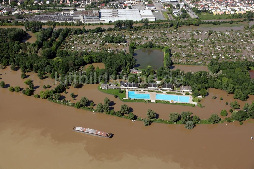 Wiesbaden aus der Vogelperspektive: Hochwasser Situation am Ufer des Main in Wiesbaden im Bundesland Hessen