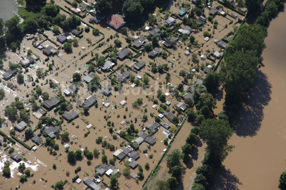 Wiesbaden von oben - Hochwasser Situation am Ufer des Main in Wiesbaden im Bundesland Hessen