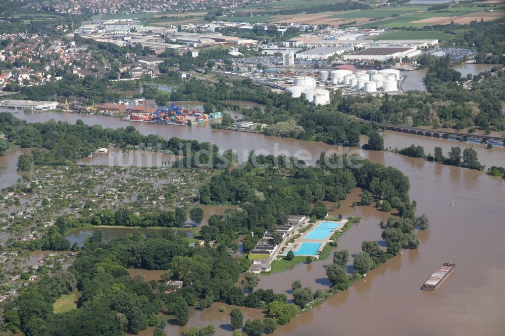 Wiesbaden aus der Vogelperspektive: Hochwasser Situation am Ufer des Main in Wiesbaden im Bundesland Hessen