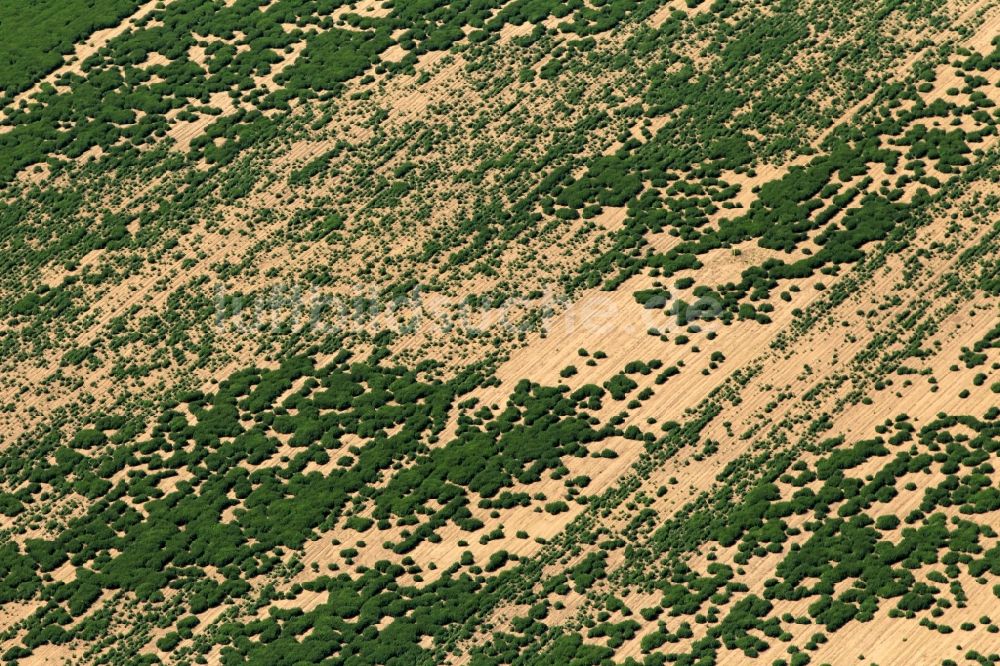 Luftaufnahme Andisleben - Hochwasserschäden auf einem Feld bei Andisleben im Bundesland Thüringen