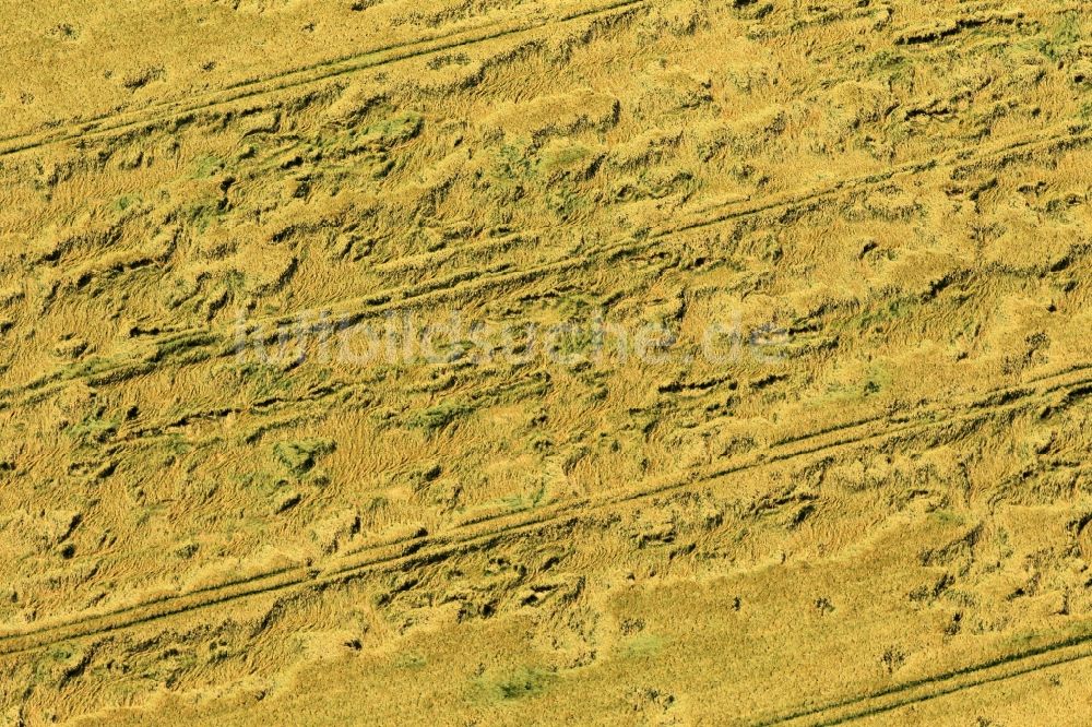 Andisleben von oben - Hochwasserschäden auf einem Feld bei Andisleben im Bundesland Thüringen