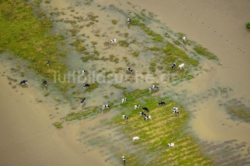 Luftbild Fröndenberg/Ruhr - Hochwasserschäden der Flutkatastrophe in Fröndenberg/Ruhr im Bundesland Nordrhein-Westfalen, Deutschland