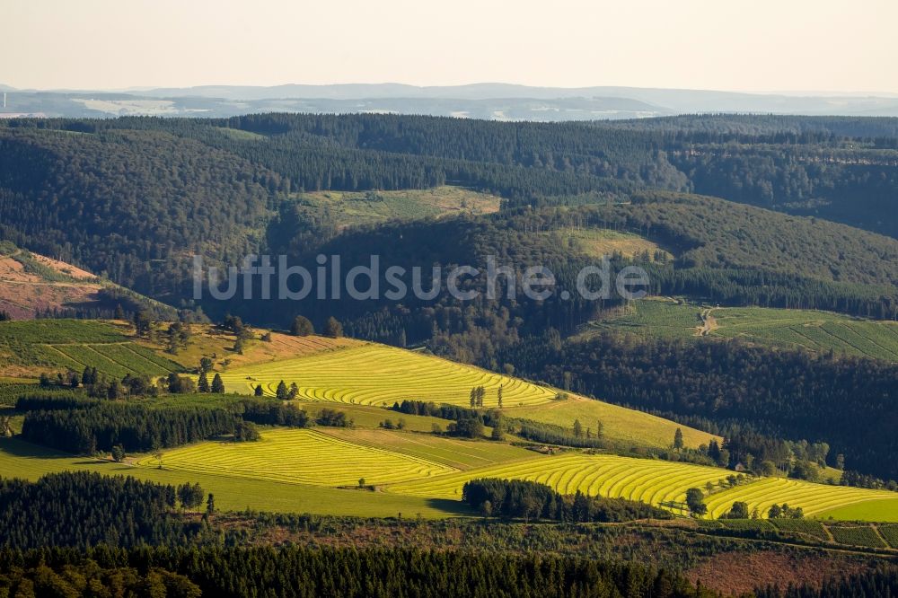 Luftbild Schmallenberg OT Schanze - Hochwiesen bei Schanze in Schmallenberg im Bundesland Nordrhein-Westfalen