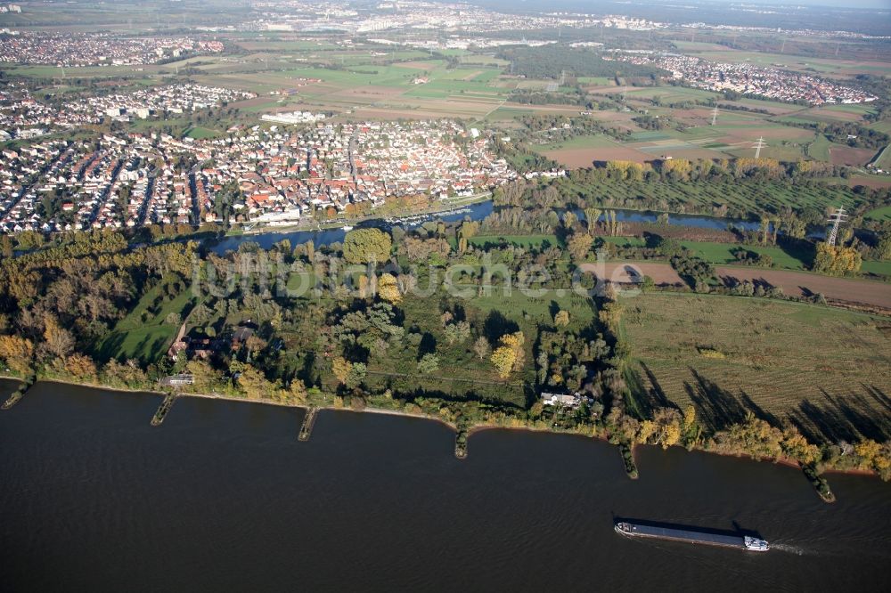 Luftbild Ginsheim-Gustavsburg - Hofgut Nonnenau auf der Insel Nonnenau bei Ginsheim-Gustavsburg im Bundesland Hessen