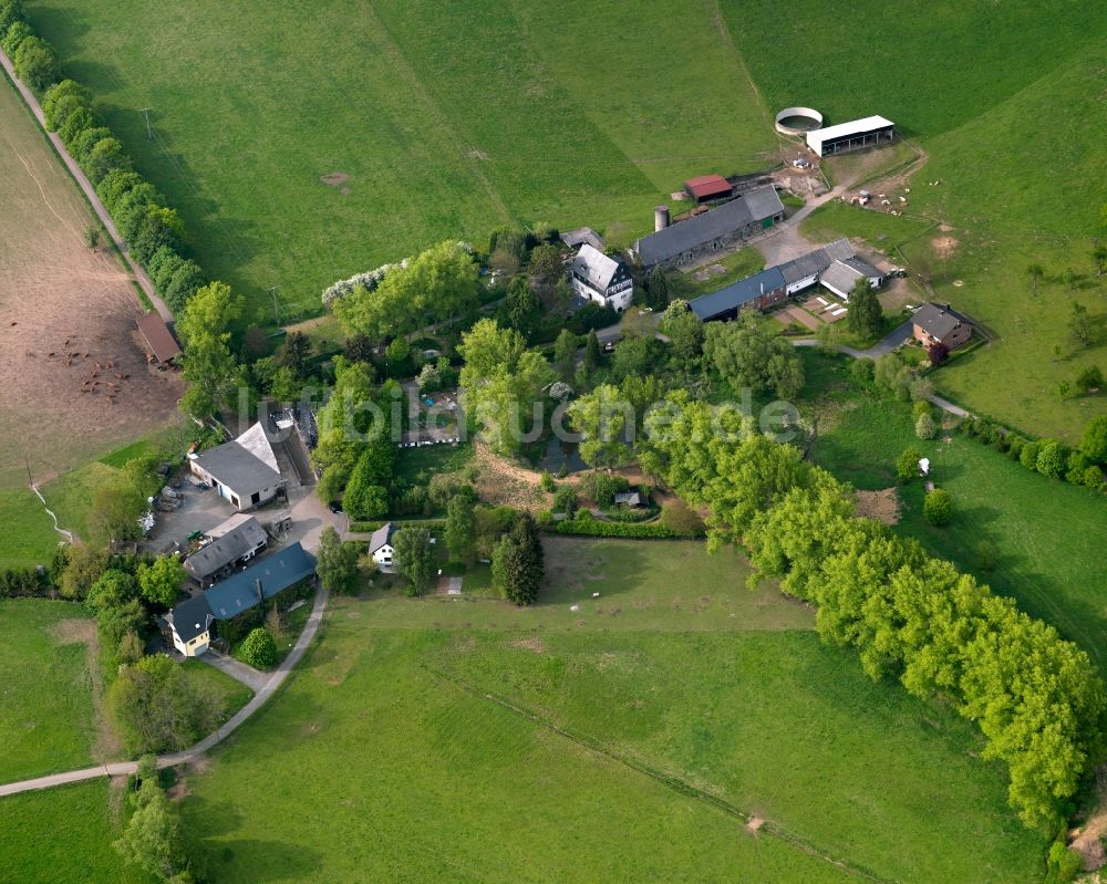 Luftaufnahme Härtlingen - Hofgut Westert in der Ortsgemeinde Härtlingen im Bundesland Rheinland-Pfalz