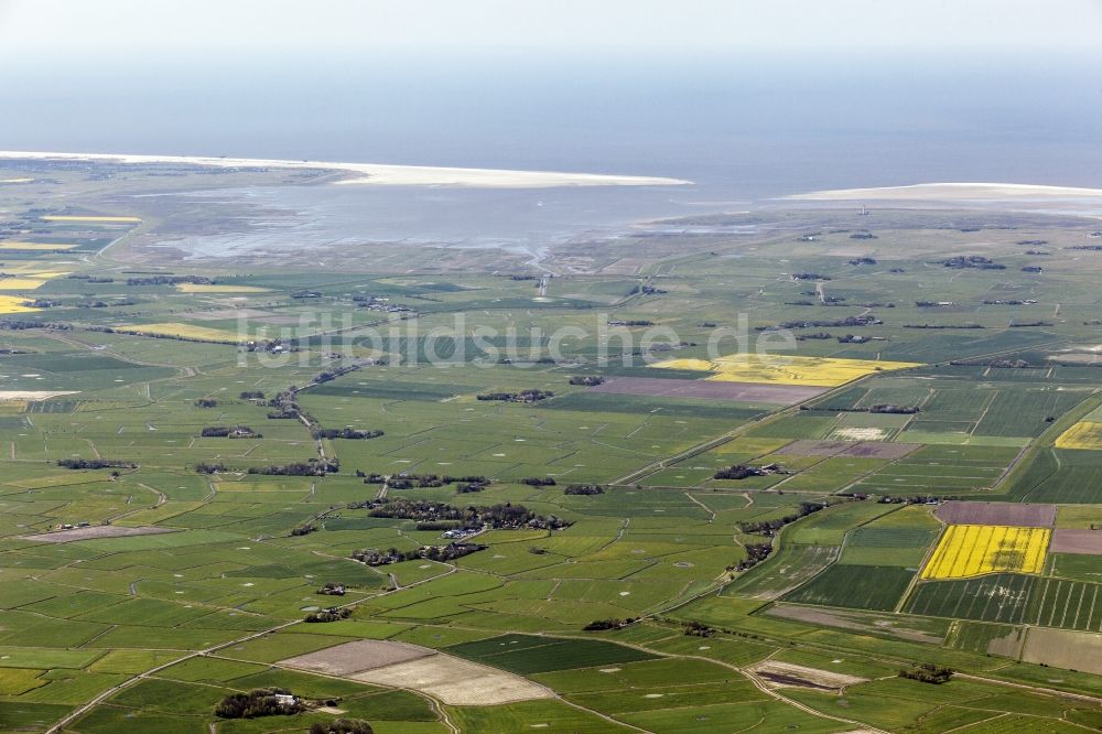 Augustenkoog von oben - Häuser und Bauernhöfe umgeben von Feldern in Augustenkoog im Bundesland Schleswig-Holstein