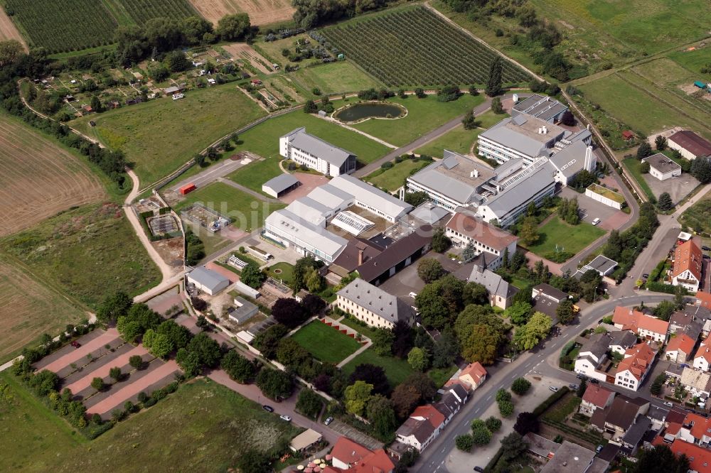 Luftbild Schwabenheim an der Selz - Industrie- und Gewerbegebiet in Schwabenheim an der Selz im Bundesland Rheinland-Pfalz