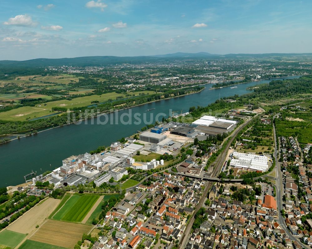 Luftaufnahme Budenheim - Industriegebiet in Budenheim im Bundesland Rheinland-Pfalz