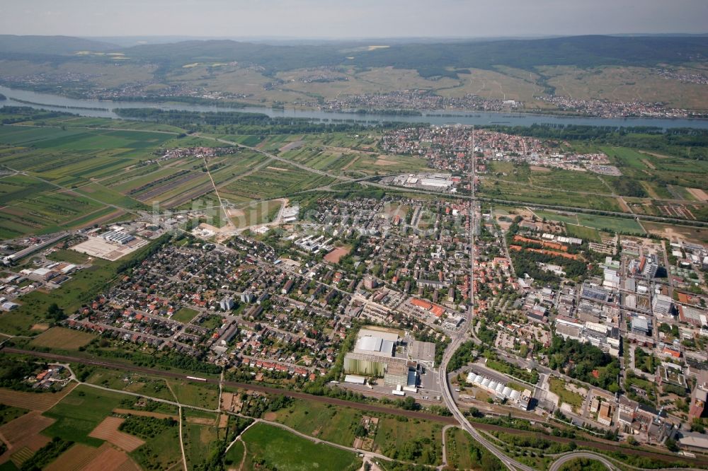 Luftaufnahme Ingelheim am Rhein - Ingelheim am Rhein im Bundesland Rheinland-Pfalz