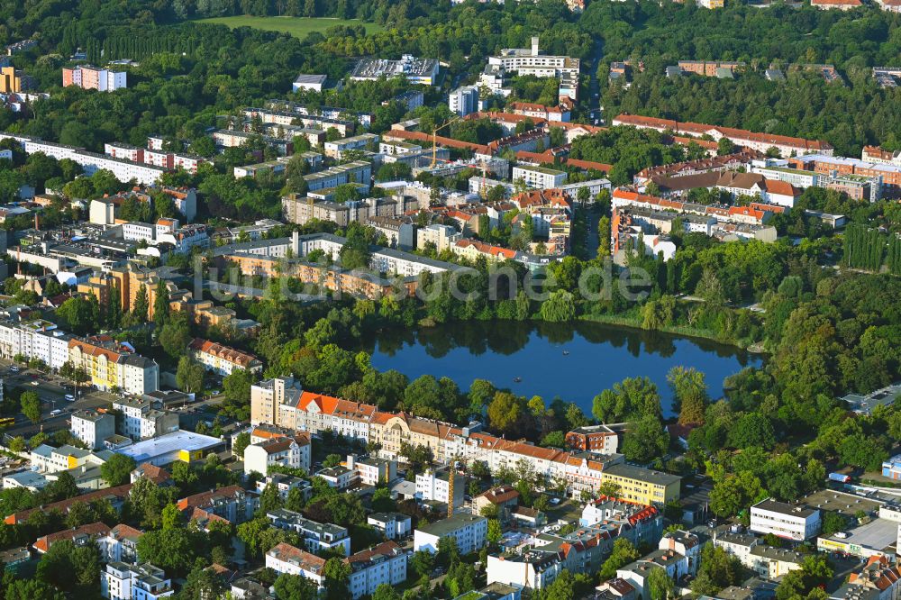 Luftaufnahme Berlin - Innenstadtbereich an den Uferbereichen Schäfersee in Berlin, Deutschland