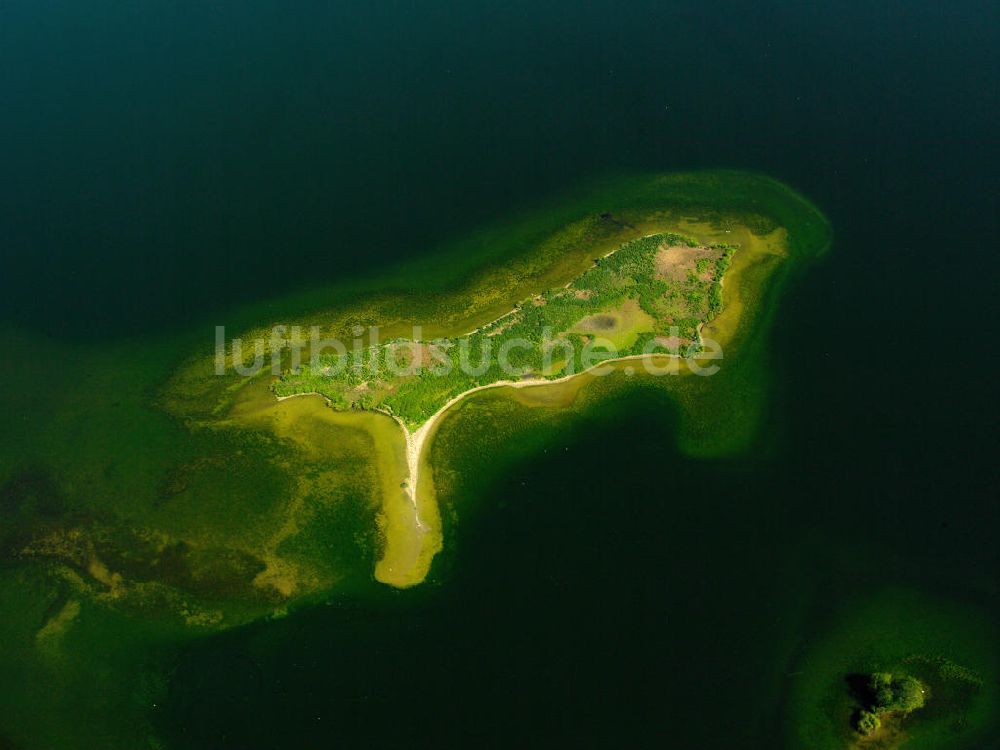 Luftaufnahme Plön - Insel im Großen Plöner See in Schleswig-Holstein