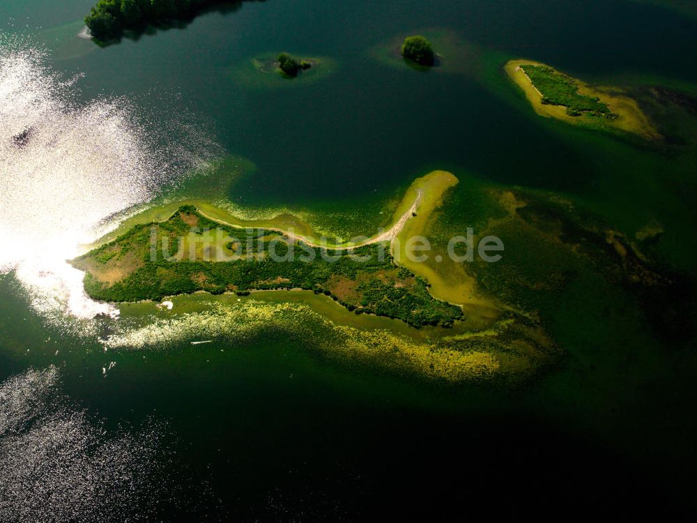 Plön von oben - Insel im Großen Plöner See in Schleswig-Holstein