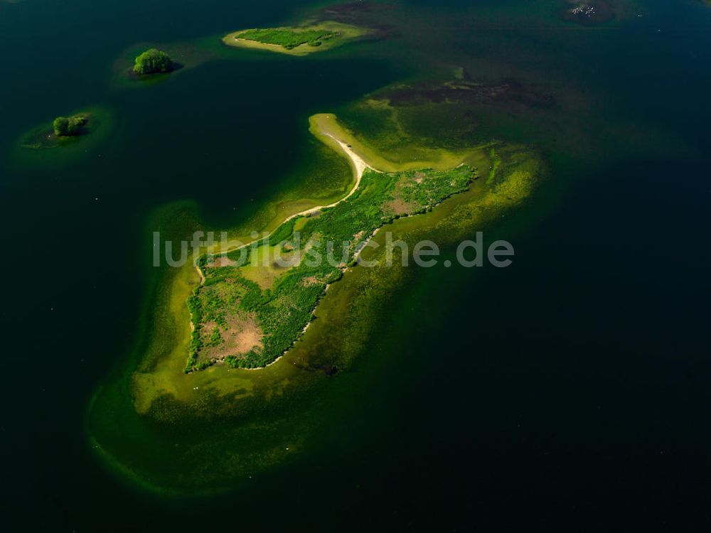 Plön aus der Vogelperspektive: Insel im Großen Plöner See in Schleswig-Holstein