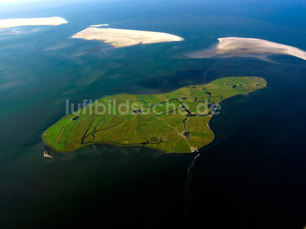 Luftaufnahme Hooge - Insel Hallig Hooge in Schleswig-Holstein