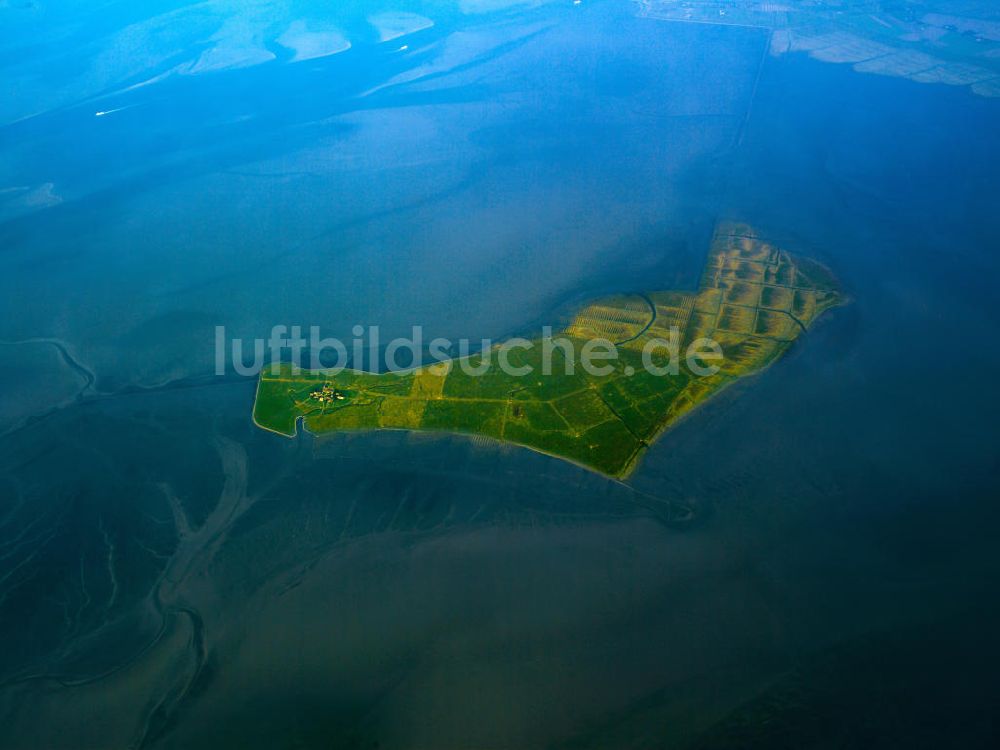 Oland aus der Vogelperspektive: Insel Hallig Oland in Schleswig-Holstein