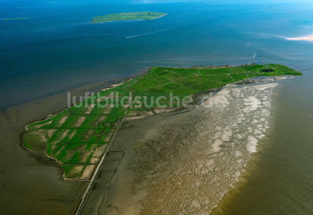 Oland von oben - Insel Hallig Oland in Schleswig-Holstein