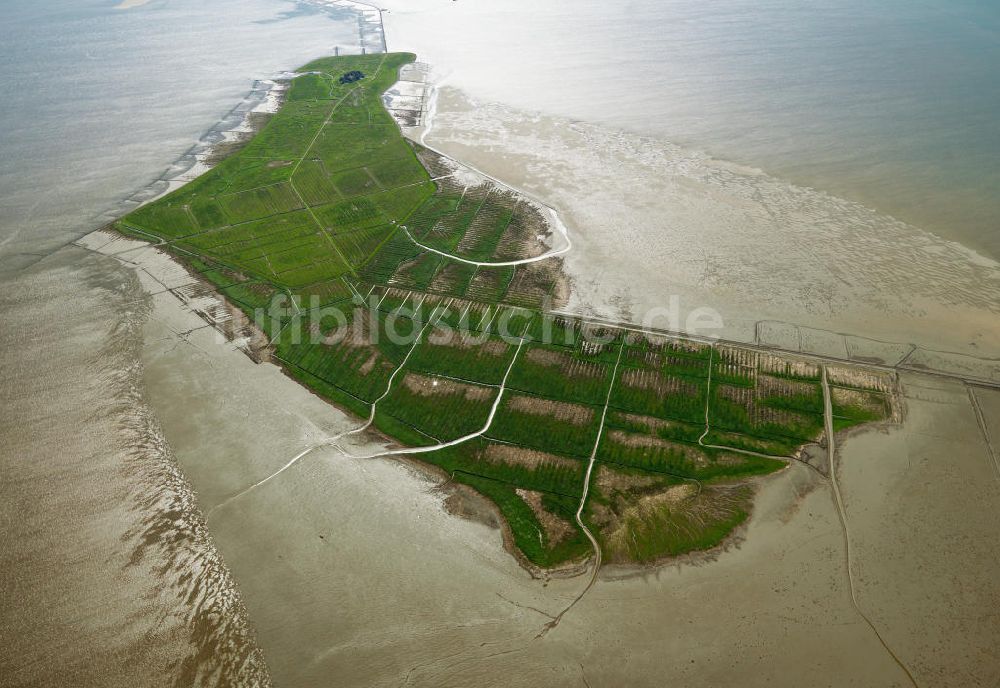 Luftbild Oland - Insel Hallig Oland in Schleswig-Holstein