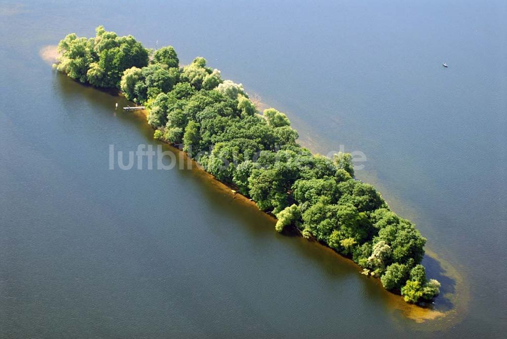 Berlin aus der Vogelperspektive: Insel Hasselwerder im Tegeler See in Reinickendorf.