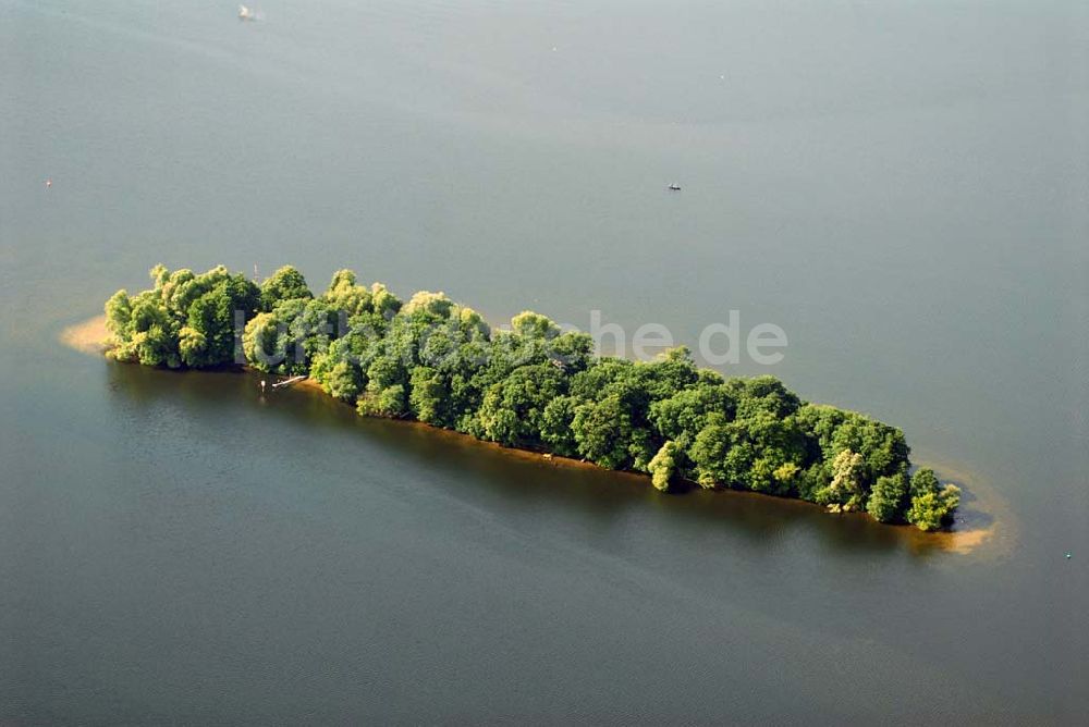 Luftaufnahme Berlin - Insel Hasselwerder im Tegeler See in Reinickendorf.