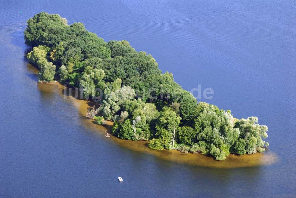 Berlin aus der Vogelperspektive: Insel Hasselwerder im Tegeler See in Reinickendorf.