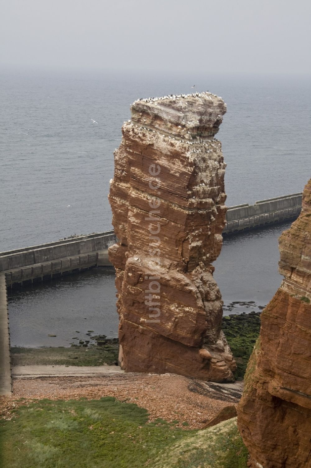 Luftbild Helgoland - Insel Helgoland im Bundesland Schleswig-Holstein