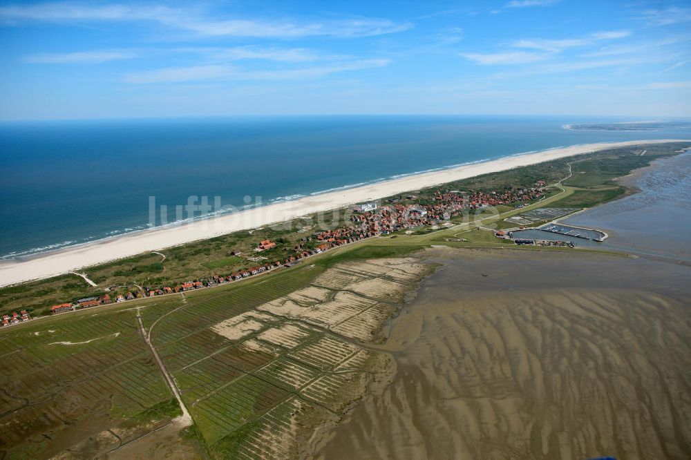 Luftbild Juist - Insel Juist in Niedersachsen