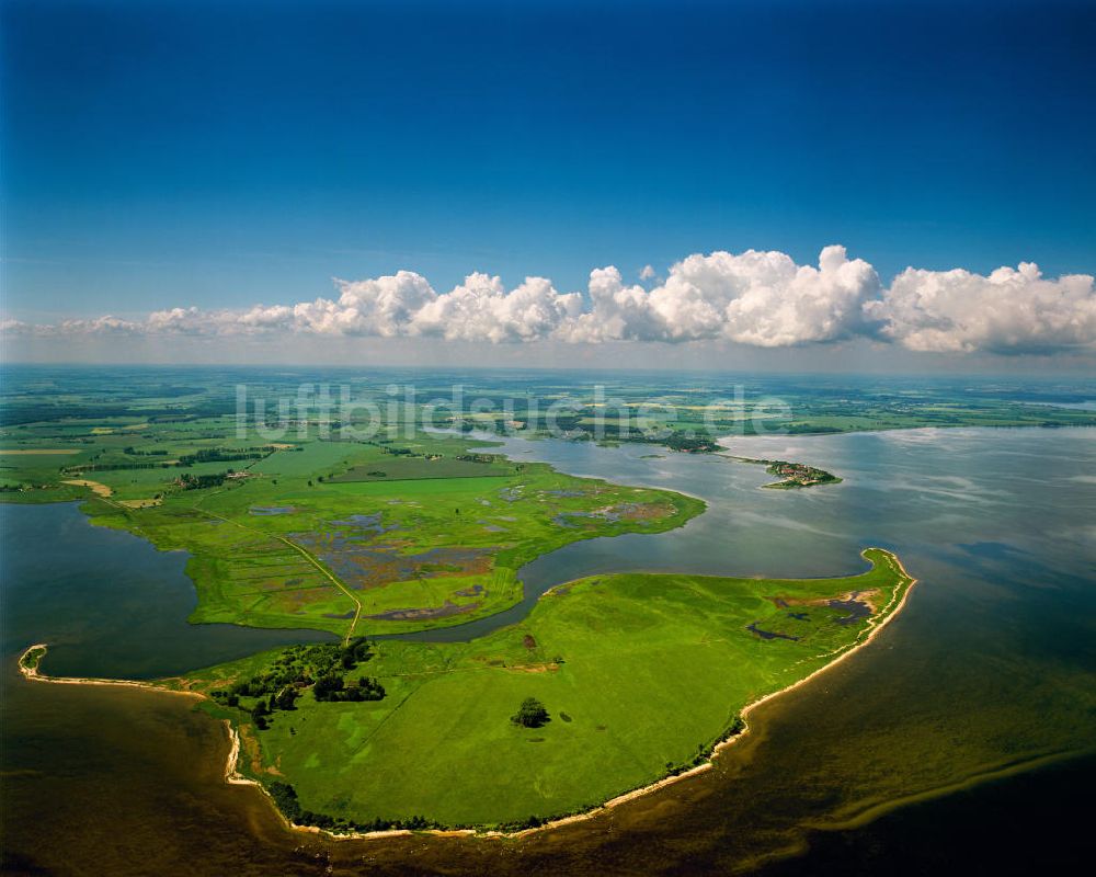 Greifswald aus der Vogelperspektive: Insel Koos im Greifswalder Bodden in Mecklenburg-Vorpommern