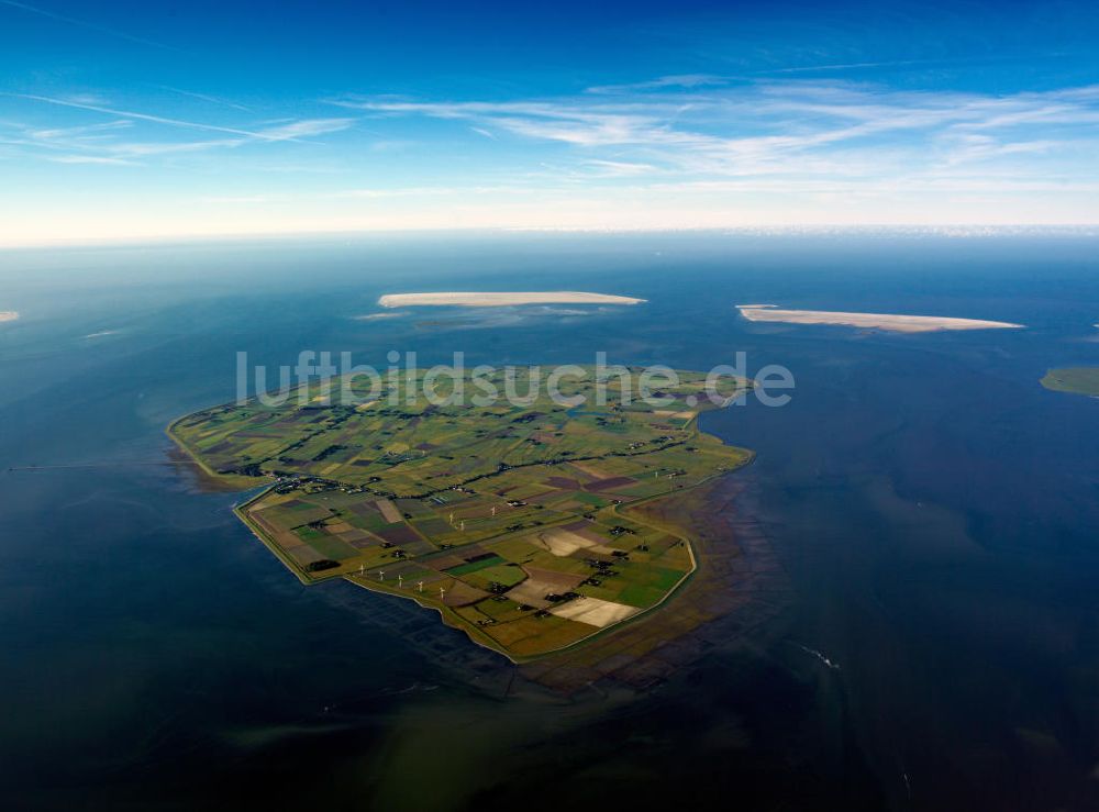 Luftaufnahme Pellworm - Insel Pellworm in Schleswig-Holstein