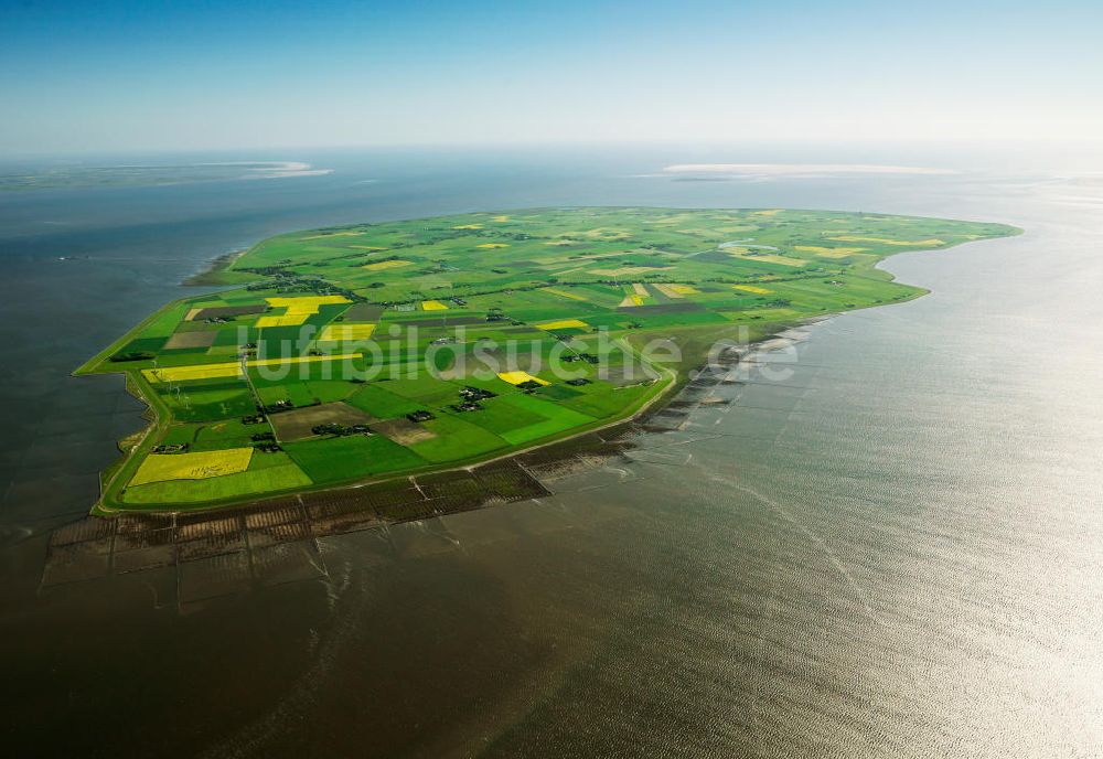 Pellworm von oben - Insel Pellworm in Schleswig-Holstein