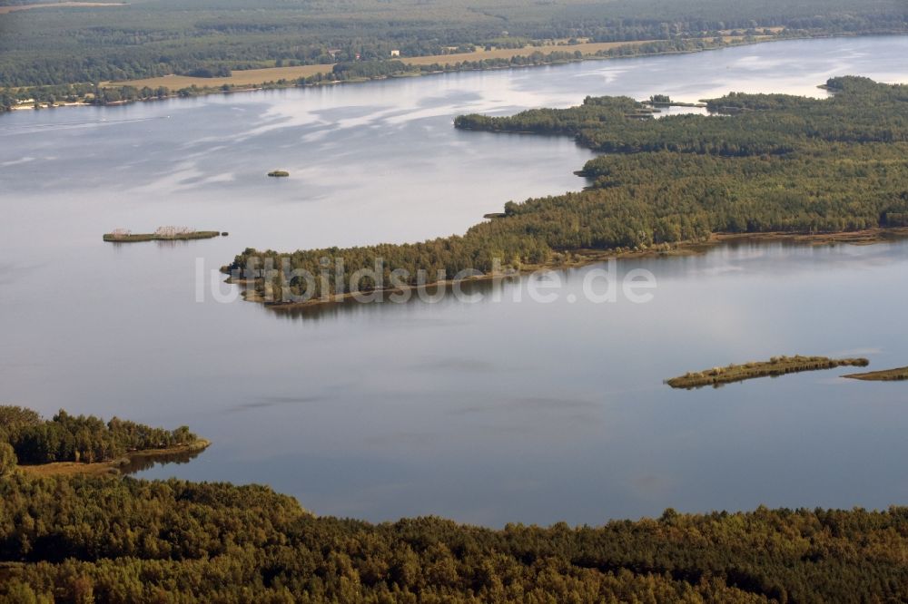 Luftbild Senftenberg - Insel im Senftenberger See in Senftenberg im Bundesland Brandenburg