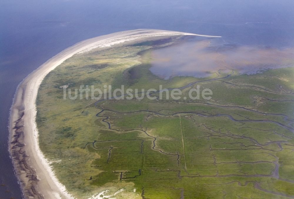 Trischen aus der Vogelperspektive: Insel Trischen im Bundesland Schleswig-Holstein