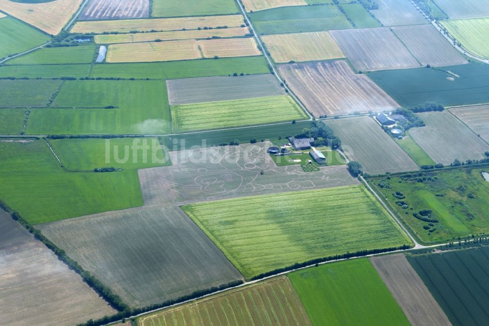 Luftaufnahme Oldsum - Irrgarten - Labyrinth auf einem Feld in Alkersum im Bundesland Schleswig-Holstein