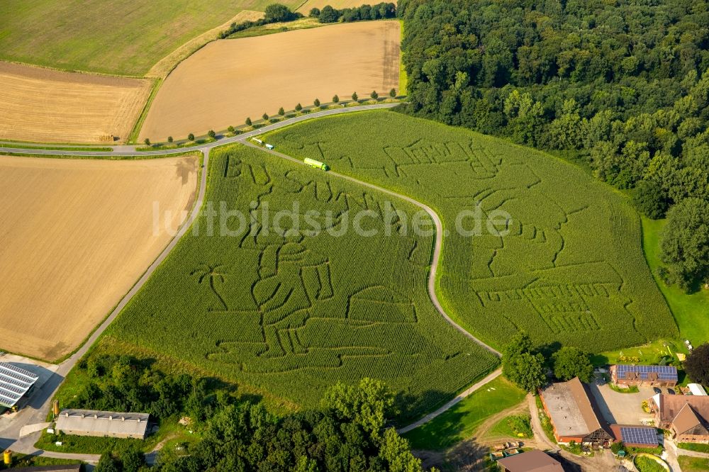 Selm von oben - Irrgarten - Labyrinth auf einem Mais- Feld in Cappenberg im Bundesland Nordrhein-Westfalen