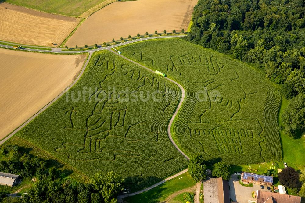 Luftbild Selm - Irrgarten - Labyrinth auf einem Mais- Feld in Cappenberg im Bundesland Nordrhein-Westfalen