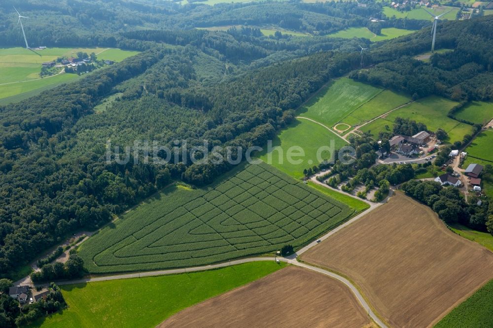 Hattingen von oben - Irrgarten - Labyrinth auf einem Maisfeld des Bergerhof in Hattingen im Bundesland Nordrhein-Westfalen