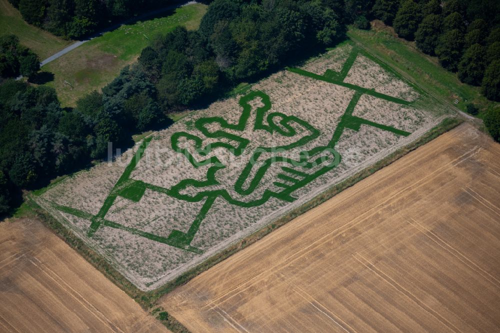 Braunschweig Von Oben Irrgarten Labyrinth Des Elefantengras Löwenlabyrinth Braunschweig Auf 