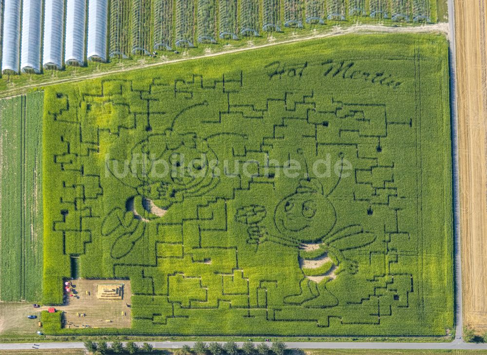 Luftbild Grevel - Irrgarten - Labyrinth in Grevel im Bundesland Nordrhein-Westfalen, Deutschland